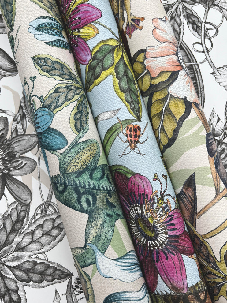 Rainforest Wallpaper