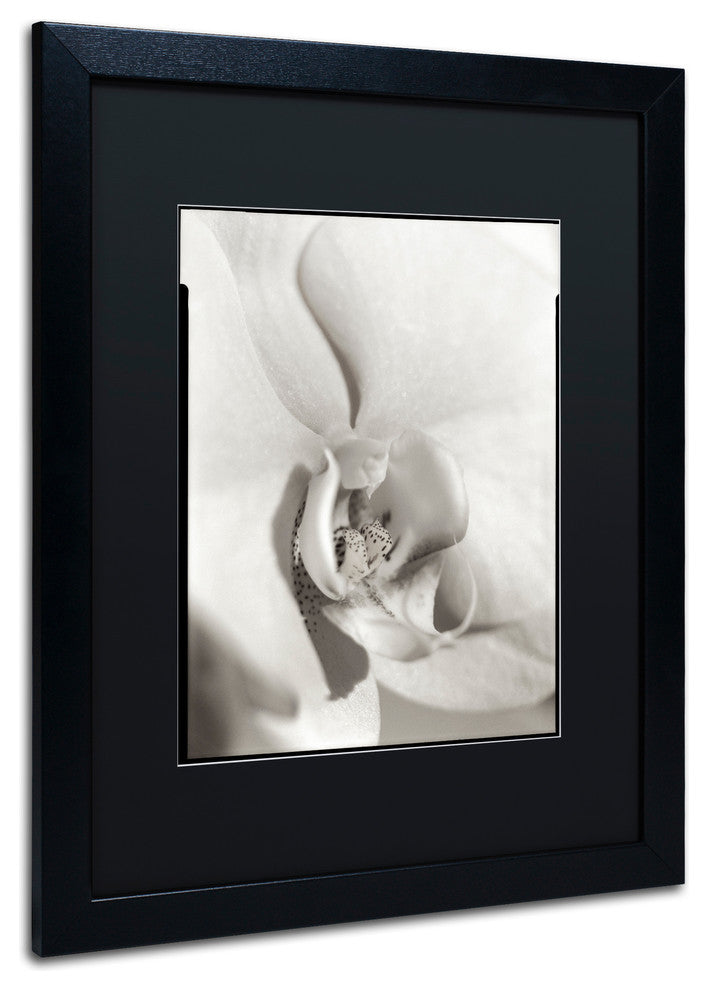 Alan Blaustein ''Florison 22'' Art, Black Frame, Black Mat, 16x20