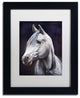 Jenny Newland 'White Arabian Stallion' Matted Framed Art, 14x11