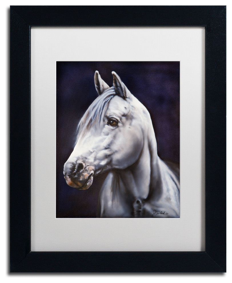 Jenny Newland 'White Arabian Stallion' Matted Framed Art, 14x11