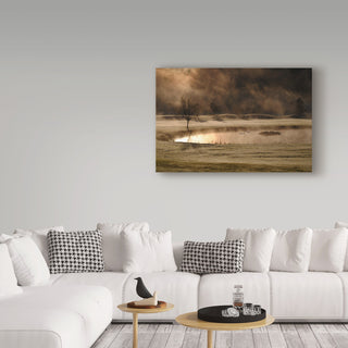 Kremena Nikolaeva 'Gold And Copper' Canvas Art, 19"x12"