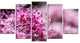 "Bright Pink Little Flowers" Flower Canvas Wall Art, 5 Panels, 60"x32"