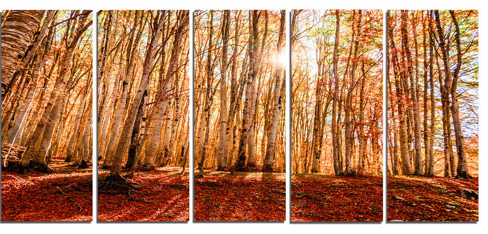 Bright Sun over Thick Fall Forest, Modern Forest Canvas Art, 60"x28", 5 Panels