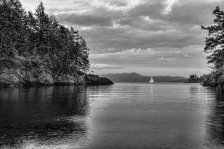 "Sail Away" Painting Print on Canvas