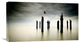 "The Sentinels" Stretched Canvas Giclee by Diaspaulo, 22x12"