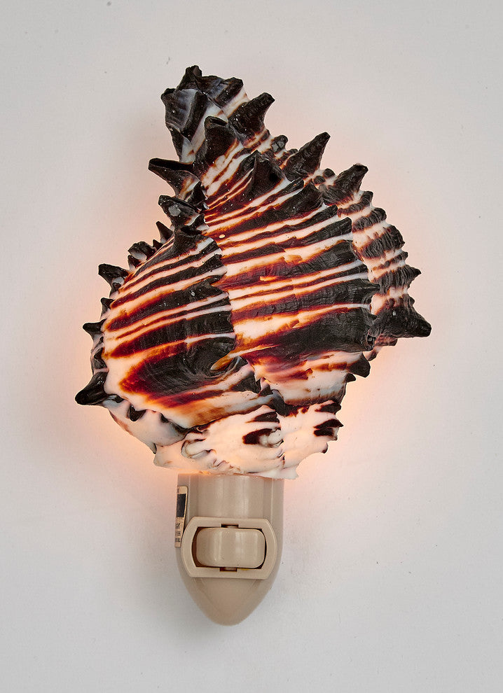Black Murex Shell Night Light