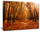 "Yellow Falling Leaves in Forest" Landscape Photo Wall Art, 20"x12"