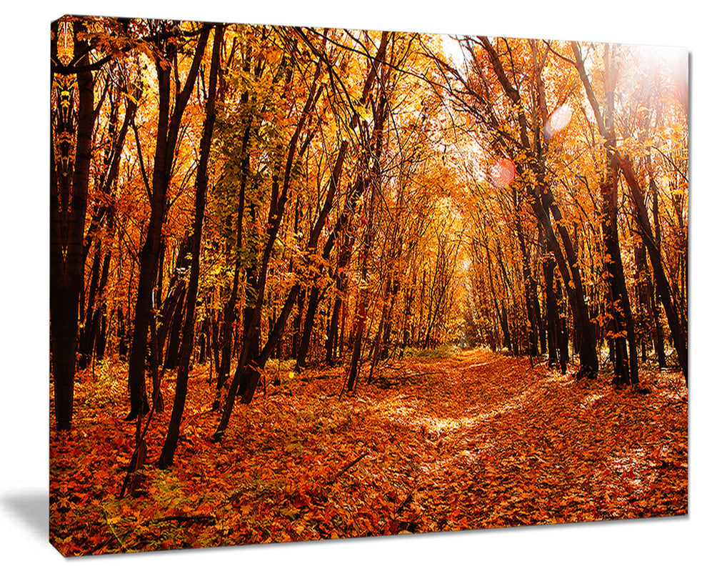 "Yellow Falling Leaves in Forest" Landscape Photo Wall Art, 20"x12"