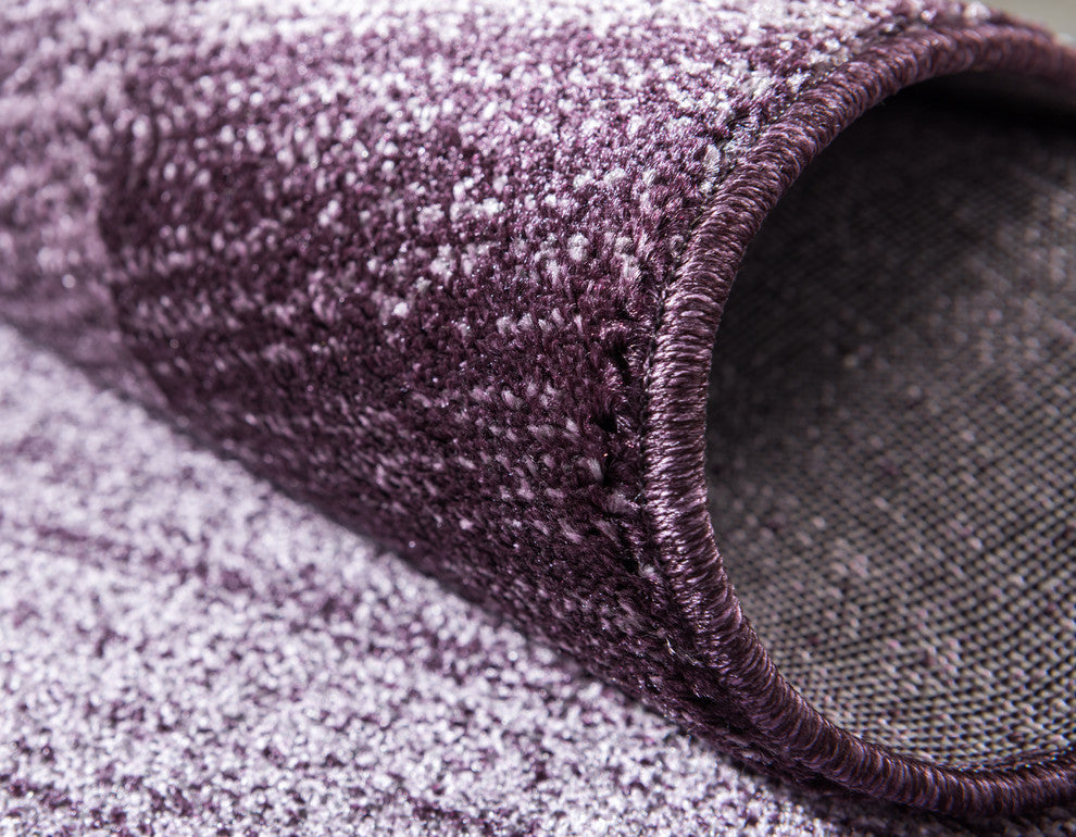 Rug Unique Loom Del Mar Purple Rectangular 5' 0 x 8' 0