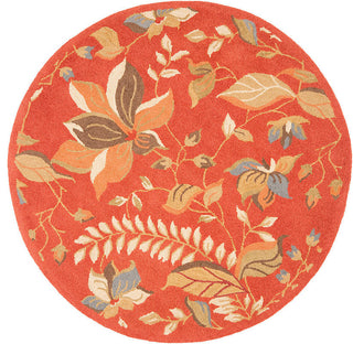 Safavieh Blossom blm913a Rug, Rust/Multi, 3'0"x5'0"