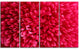 Pink Aster Flower Petals Close up, Floral Canvas Artwork, 48"x28", 4 Panels