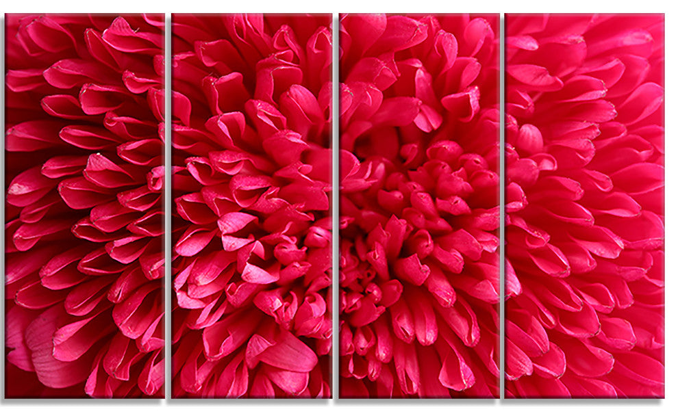 Pink Aster Flower Petals Close up, Floral Canvas Artwork, 48"x28", 4 Panels