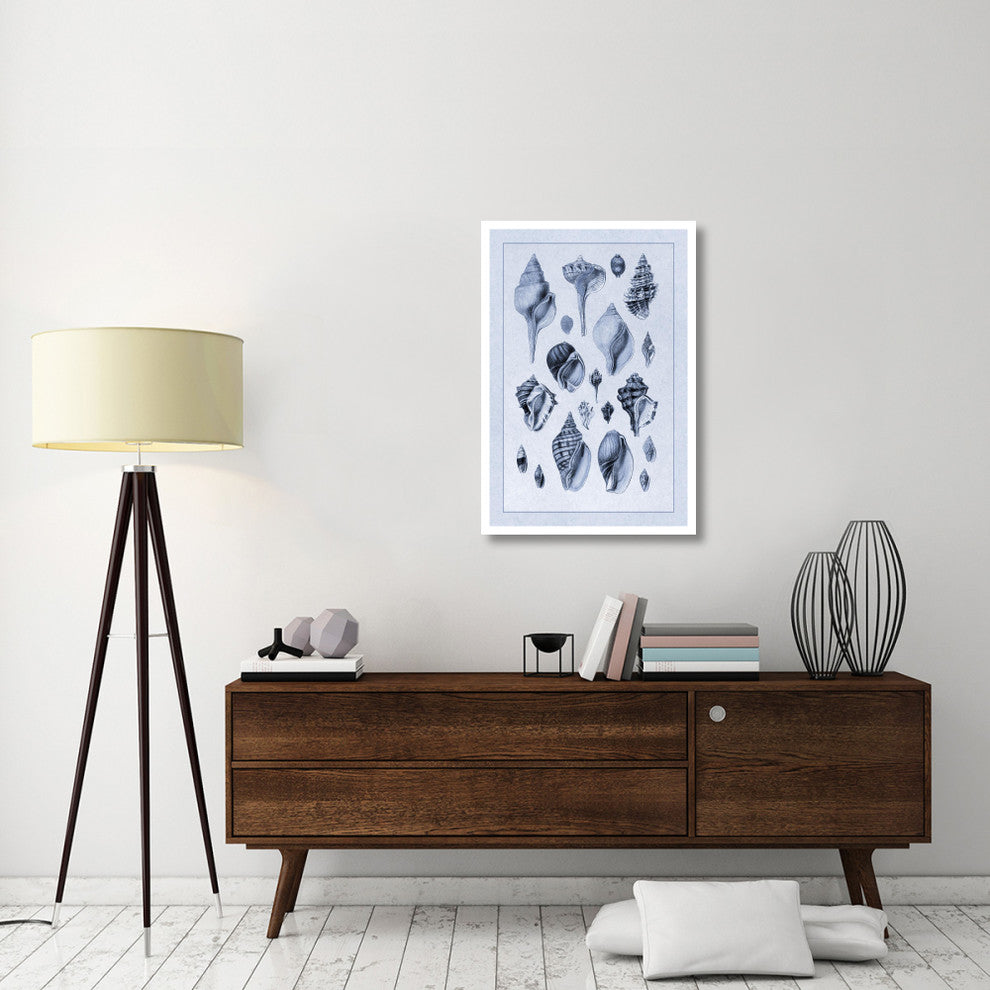"Shells: Sessile Cirripedes #3 (Blue)" Paper Print by G.B. Sowerby, 26"x38"