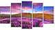 Magic Pink Rhododendron Flowers, Large Landscape Canvas Print, 60"x32", 5 Panels
