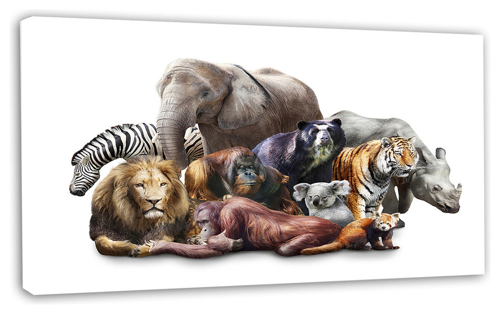 Animals on White Background, Abstract Canvas Art Print, 32"x16"