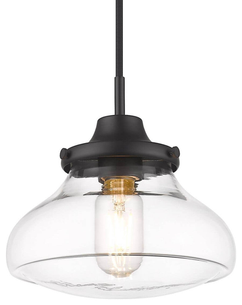 1 Light 8" Small Pendant, Black With Clear Glass