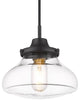 1 Light 8" Small Pendant, Black With Clear Glass