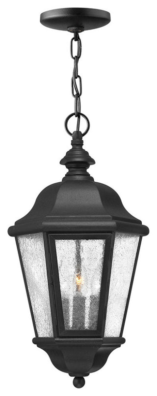 Hinkley Edgewater Medium Hanging Lantern, Black