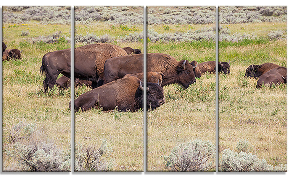 Grazing Gang of Buffalos, Animal Canvas Art Print, 48"x28", 4 Panels