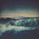 "Morning Fog" Print on Wrapped Canvas by Ingrid Beddoes