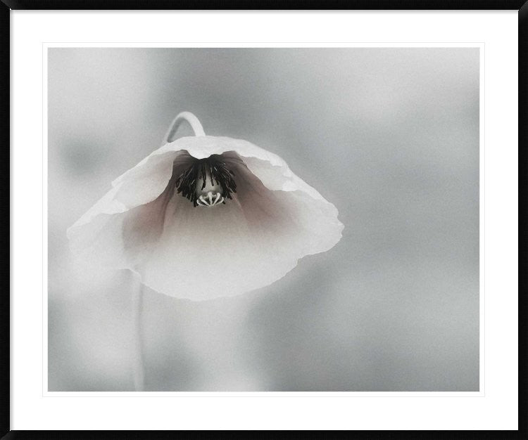 "Ephemeral Beauty" Framed Digital Print by Piet Flour, 44x36"