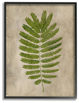 Plant Drawing Parchment Green Design, 16"x20", Black Frame