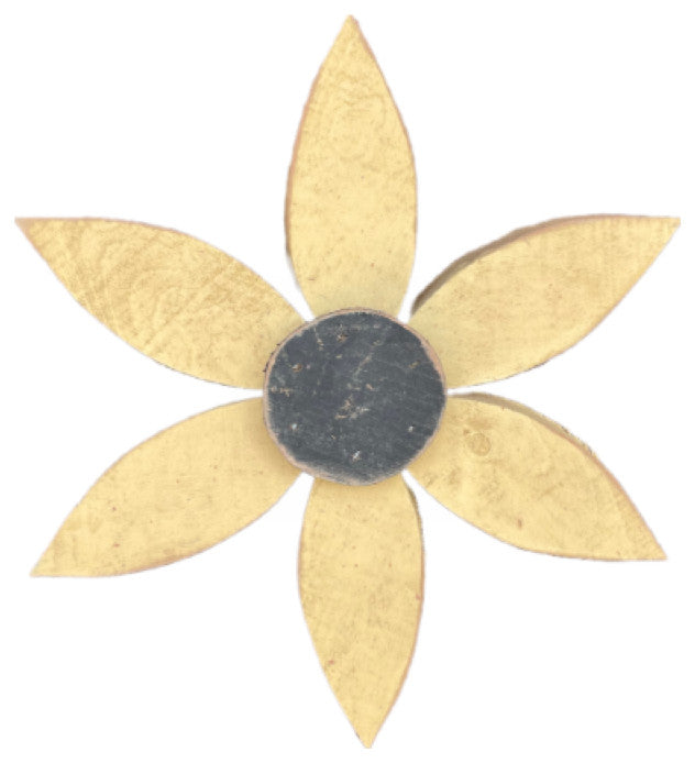 Daisy