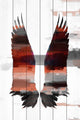 "Dark Wings" Print on White Wood, 40"x60"