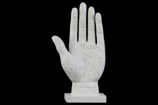 Polyresin Palmistry Hand Sculpture