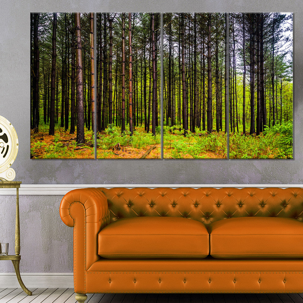 Pine Trees in Michaux Forest, Modern Forest Canvas Art, 48"x28", 4 Panels