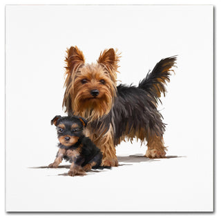 The Macneil Studio 'Yorky' Canvas Art, 24"x24"