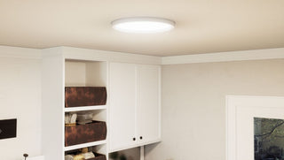 Outskirts LED Flush Mount, White Lustre