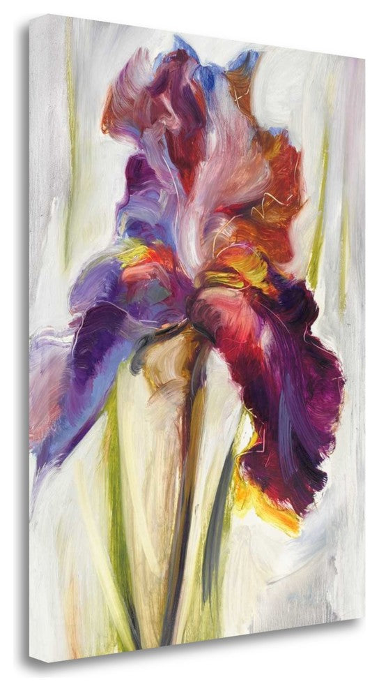 "Colors Of Iris I" By Maria Zielinska, Giclee Print on Gallery Wrap Canvas