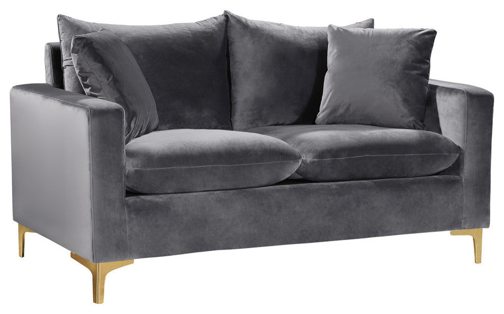 Naomi Velvet Upholstered Loveseat, Gray