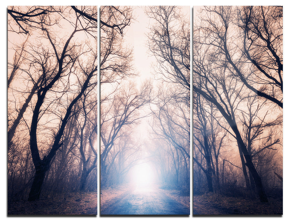 "Mysterious Sunlight in Forest" Photo Metal Wall Art, 3 Panels, 36"x28"