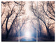 "Mysterious Sunlight in Forest" Photo Metal Wall Art, 3 Panels, 36"x28"