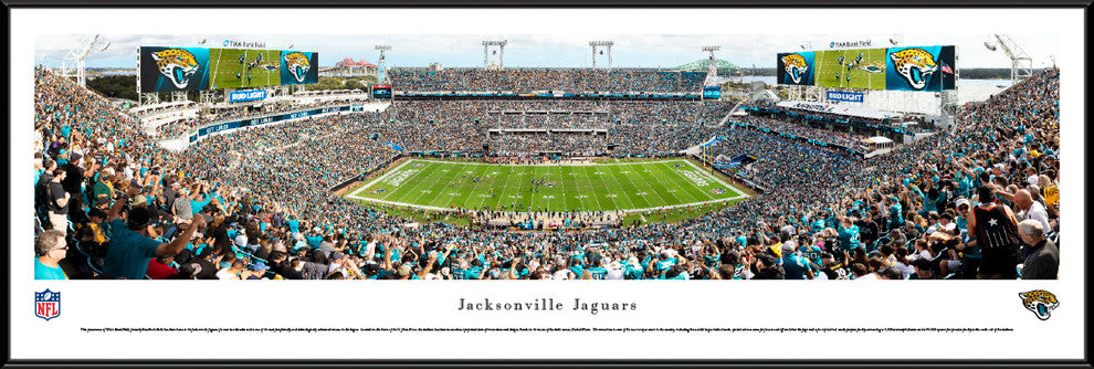 Jacksonville Jaguars Football - Standard Frame