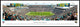 Jacksonville Jaguars Football - Standard Frame