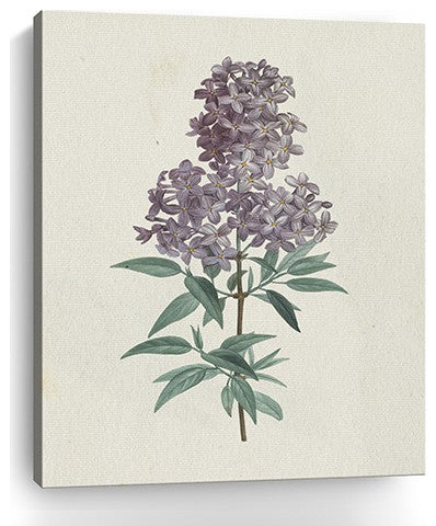 20" Singular Purple Blossom Branch Canvas Wall Art