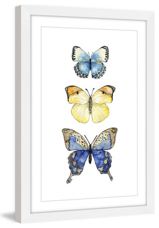 "Three Butterflies" Framed Print by Rachel Byler