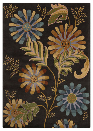 Bajrang Transitional Area Rug, 9'x13'