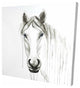 Solitary White Horse, Fine Art Gallery Wrapped Canvas, 24"x24"