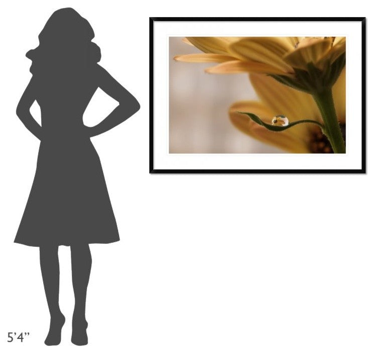 "Protected" Framed Digital Print by Heidi Westum, 44x32"