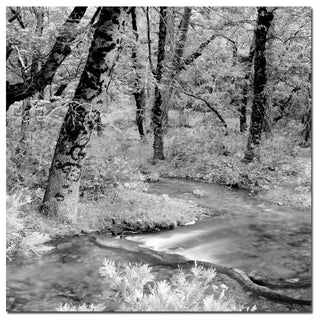 'Yosemite' Canvas Art by Preston
