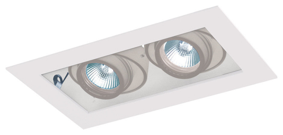 2-Light Linear Remodel, White Trim, White Gimbal, White