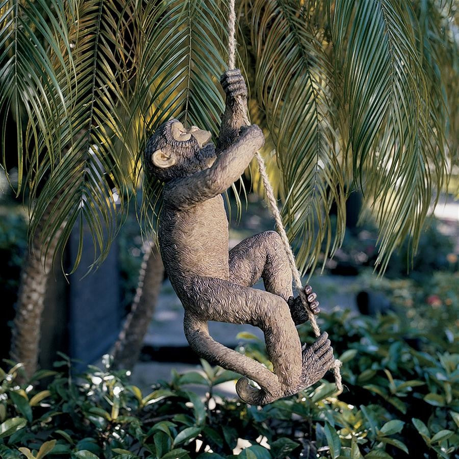 Makokou The Climbing Monkey