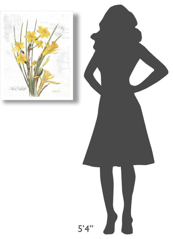 "March Daffodil on White" Digital Paper Print by Katie Pertiet, 22"x26"