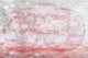 "Flash of Pink" Fine Art Canvas Print, 36"x24"