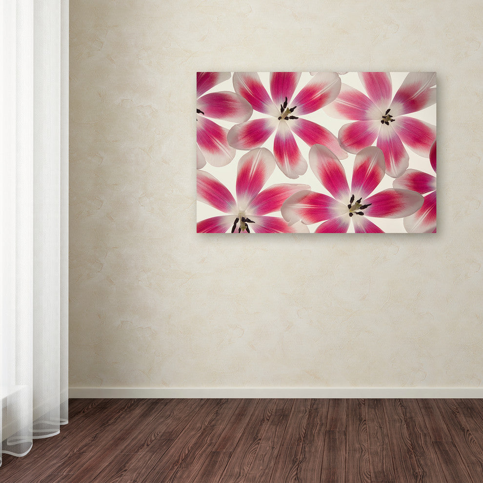 Cora Niele ''Ruby Red and White Tulips'' Canvas Art