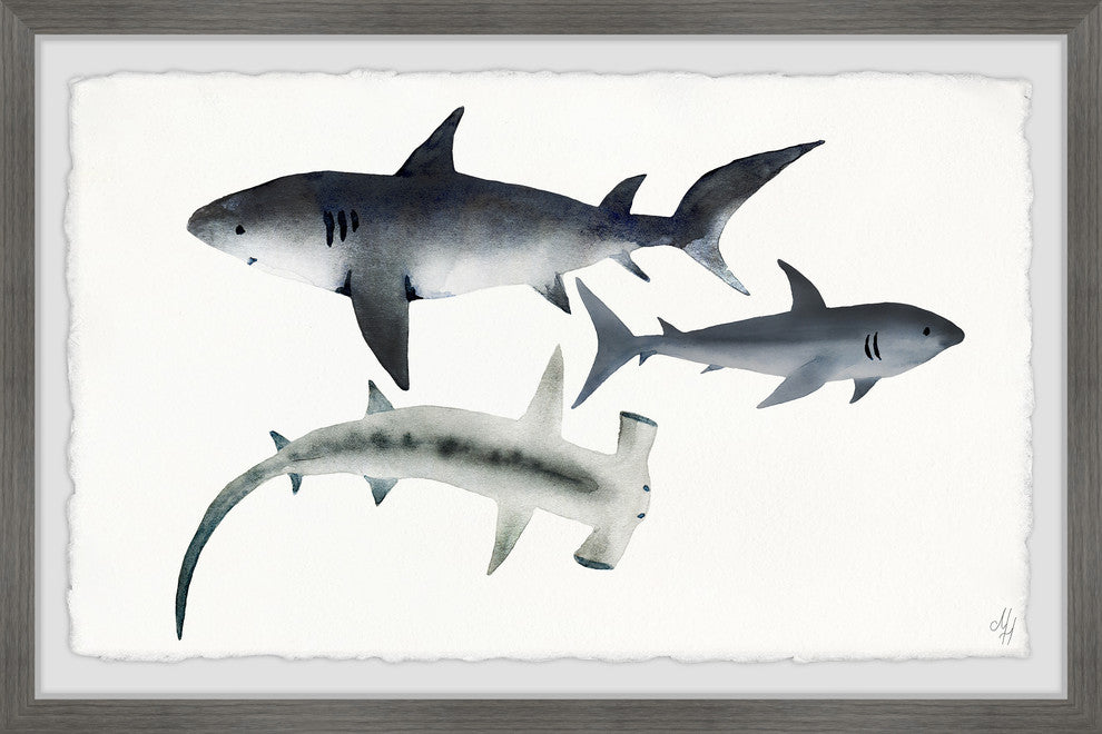 "Gray Sharks" Framed Painting Print, 12"x8"